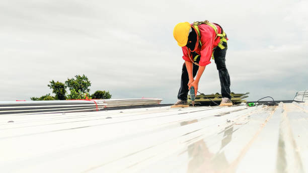 Roof Moss and Algae Removal